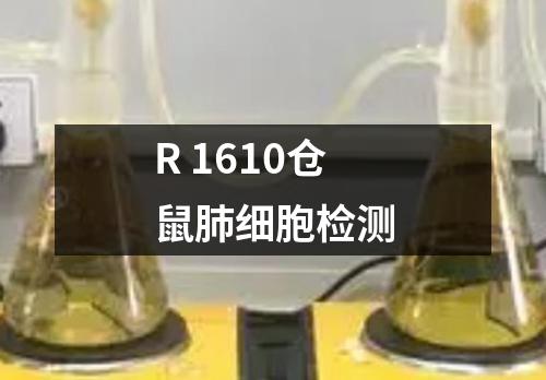 R 1610仓鼠肺细胞检测