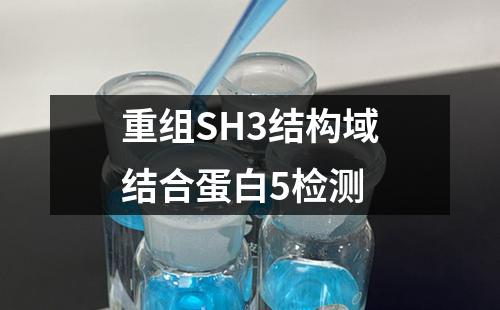 重组SH3结构域结合蛋白5检测