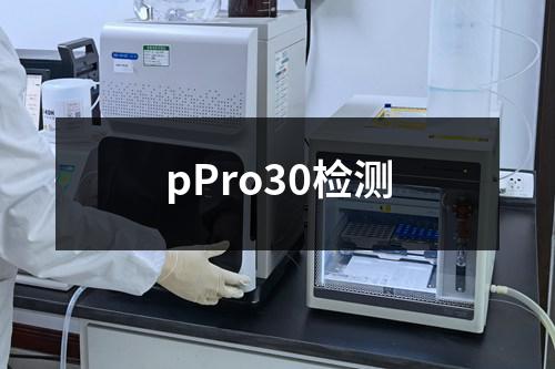 pPro30检测