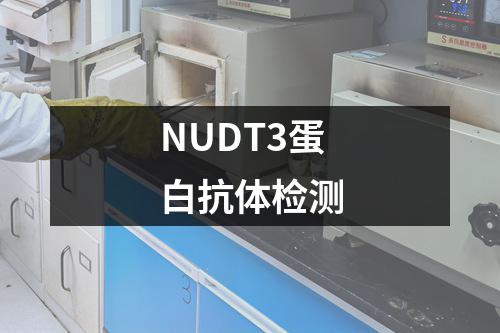 NUDT3蛋白抗体检测