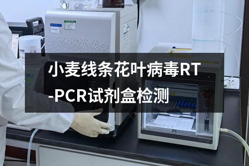 小麦线条花叶病毒RT-PCR试剂盒检测