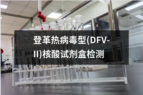 登革热病毒型(DFV-II)核酸试剂盒检测