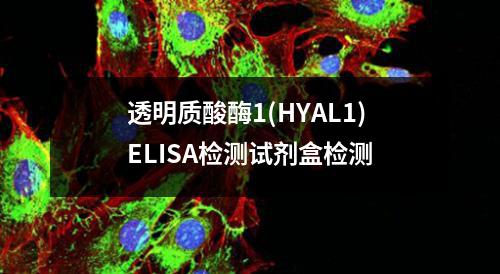 透明质酸酶1(HYAL1)ELISA检测试剂盒检测