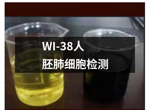 WI-38人胚肺细胞检测