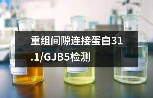 重组间隙连接蛋白31.1/GJB5检测