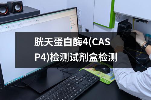 胱天蛋白酶4(CASP4)检测试剂盒检测