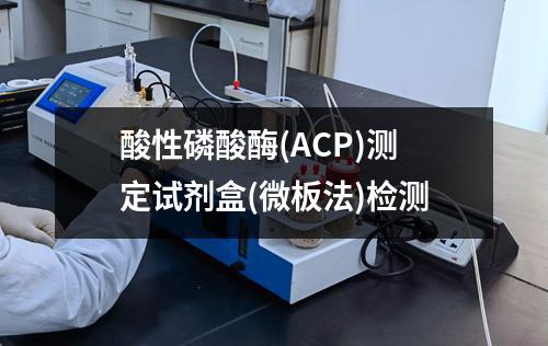 酸性磷酸酶(ACP)测定试剂盒(微板法)检测