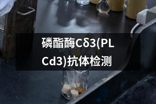 磷酯酶Cδ3(PLCd3)抗体检测