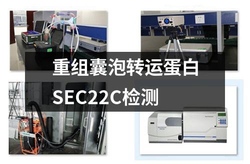 重组囊泡转运蛋白SEC22C检测