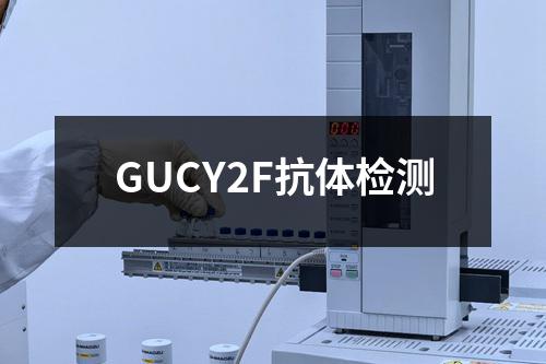 GUCY2F抗体检测