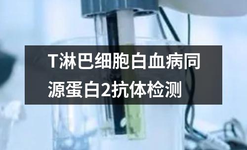 T淋巴细胞白血病同源蛋白2抗体检测