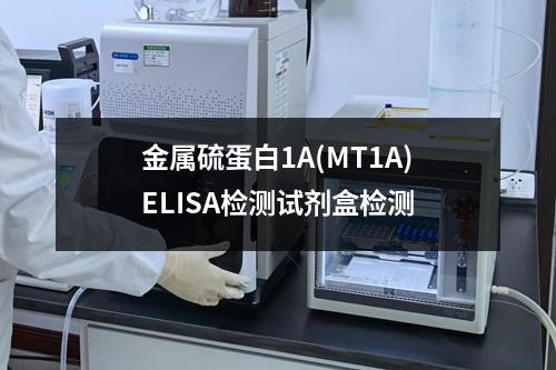 金属硫蛋白1A(MT1A)ELISA检测试剂盒检测