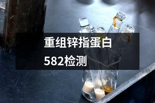 重组锌指蛋白582检测