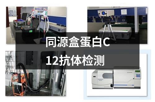 同源盒蛋白C12抗体检测