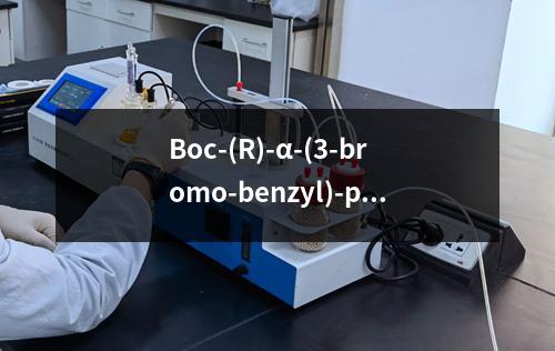 Boc-(R)-α-(3-bromo-benzyl)-proline检测