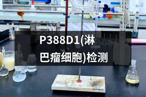 P388D1(淋巴瘤细胞)检测