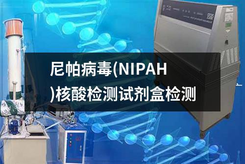 尼帕病毒(NIPAH)核酸检测试剂盒检测