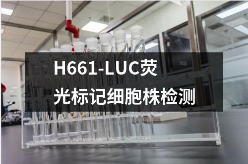 H661-LUC荧光标记细胞株检测