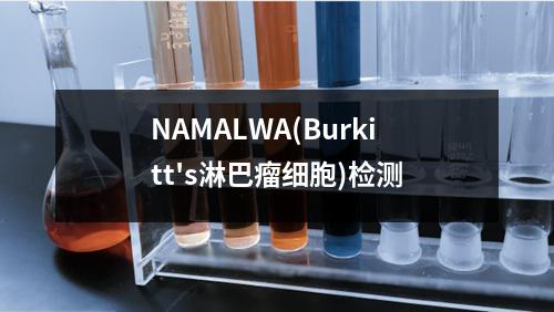 NAMALWA(Burkitt's淋巴瘤细胞)检测