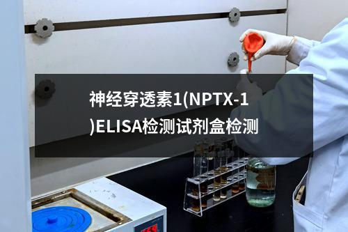 神经穿透素1(NPTX-1 )ELISA检测试剂盒检测