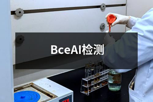 BceAI检测