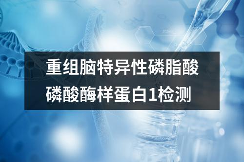 重组脑特异性磷脂酸磷酸酶样蛋白1检测