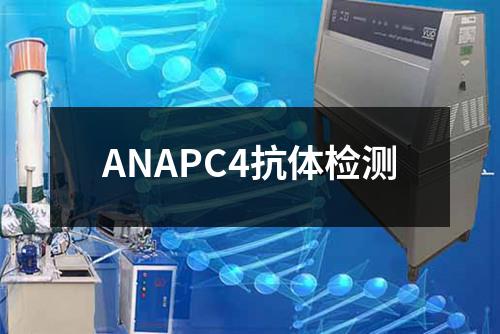 ANAPC4抗体检测