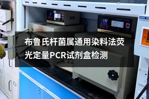 布鲁氏杆菌属通用染料法荧光定量PCR试剂盒检测