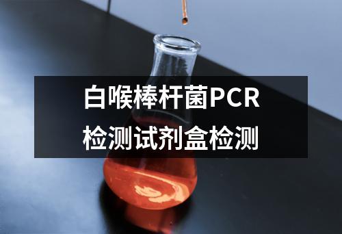 白喉棒杆菌PCR检测试剂盒检测