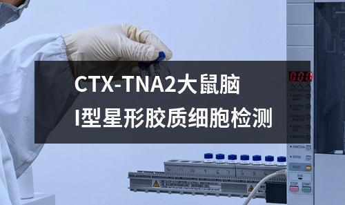 CTX-TNA2大鼠脑I型星形胶质细胞检测