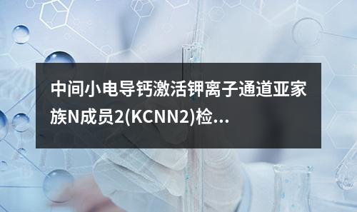 中间小电导钙激活钾离子通道亚家族N成员2(KCNN2)检测试剂盒检测