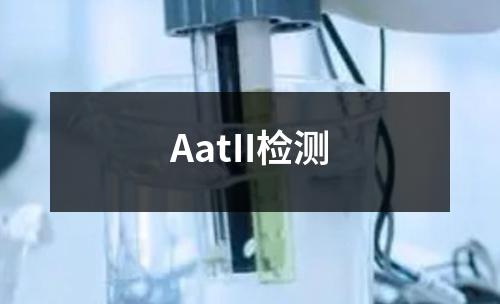 AatII检测