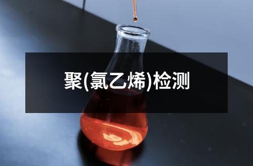 聚(氯乙烯)检测