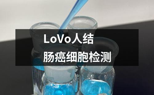 LoVo人结肠癌细胞检测