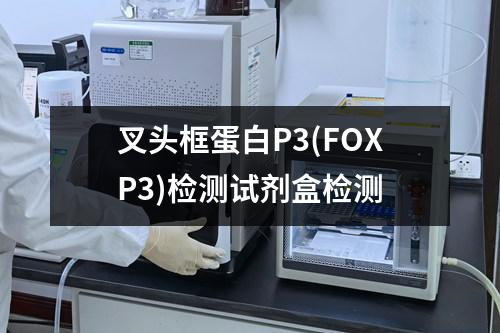 叉头框蛋白P3(FOXP3)检测试剂盒检测