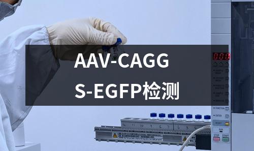 AAV-CAGGS-EGFP检测