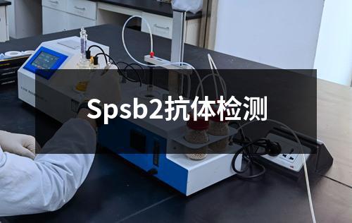 Spsb2抗体检测