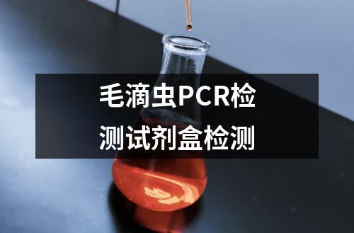 毛滴虫PCR检测试剂盒检测