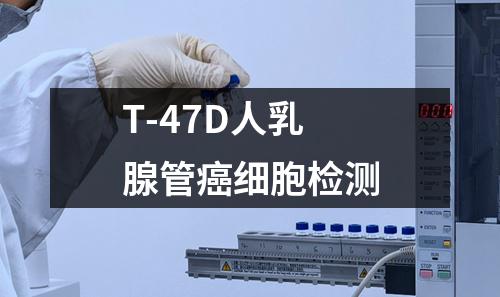 T-47D人乳腺管癌细胞检测