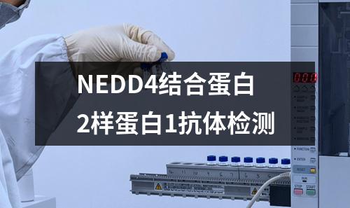 NEDD4结合蛋白2样蛋白1抗体检测