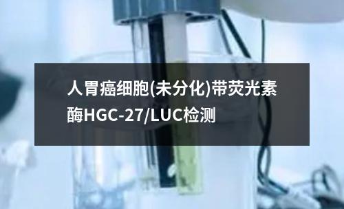 人胃癌细胞(未分化)带荧光素酶HGC-27/LUC检测