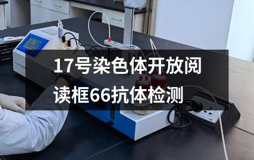 17号染色体开放阅读框66抗体检测