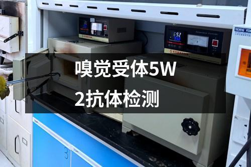 嗅觉受体5W2抗体检测