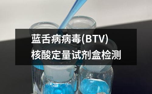 蓝舌病病毒(BTV)核酸定量试剂盒检测