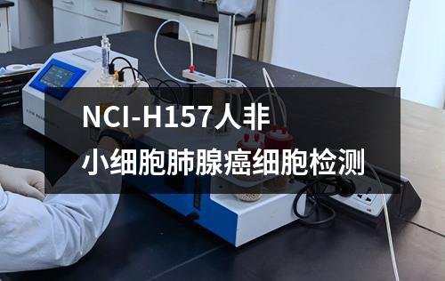 NCI-H157人非小细胞肺腺癌细胞检测