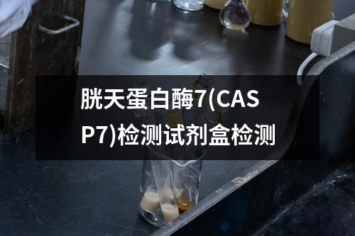 胱天蛋白酶7(CASP7)检测试剂盒检测