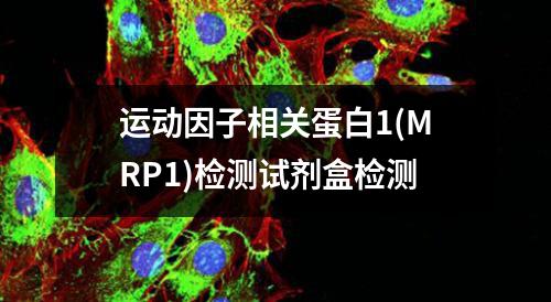 运动因子相关蛋白1(MRP1)检测试剂盒检测