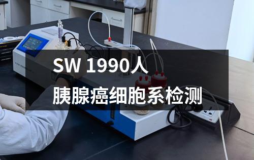 SW 1990人胰腺癌细胞系检测