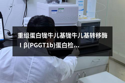 重组蛋白牻牛儿基牻牛儿基转移酶Ⅰβ(PGGT1b)蛋白检测