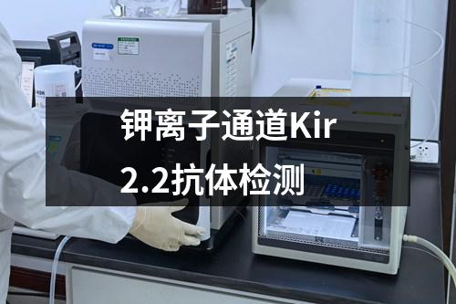 钾离子通道Kir2.2抗体检测